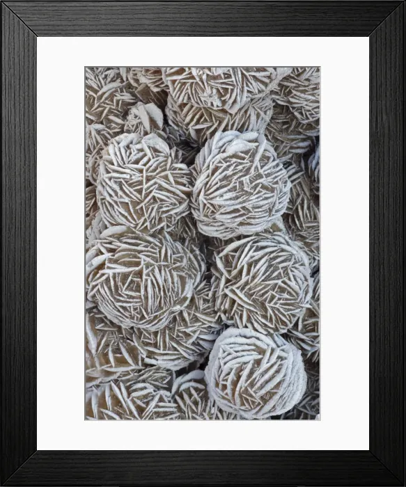 Framed Print : Selenite - Mexico - Form of gypsum Framed Print : Selenite - Mexico - Form of gypsum