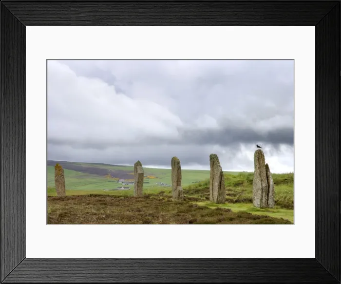 Framed Print : Standing Stones - with Oystercatcher - Ring of Brodgar - Orkney Mainland LA005042 Framed Print : Standing Stones - with Oystercatcher - Ring of Brodgar - Orkney Mainland LA005042