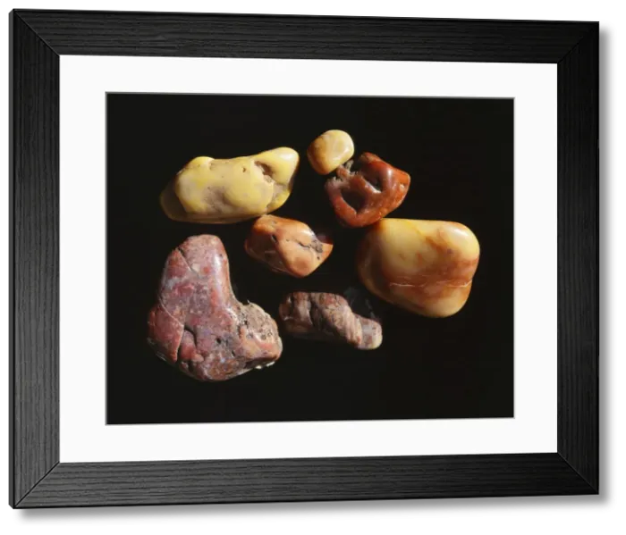 Framed Print : Prehistoric Dinosaur Gastroliths Gizzard stones, collected on the Morrison formation in Colorado, USA Framed Print : Prehistoric Dinosaur Gastroliths Gizzard stones, collected on the Morrison formation in Colorado, USA