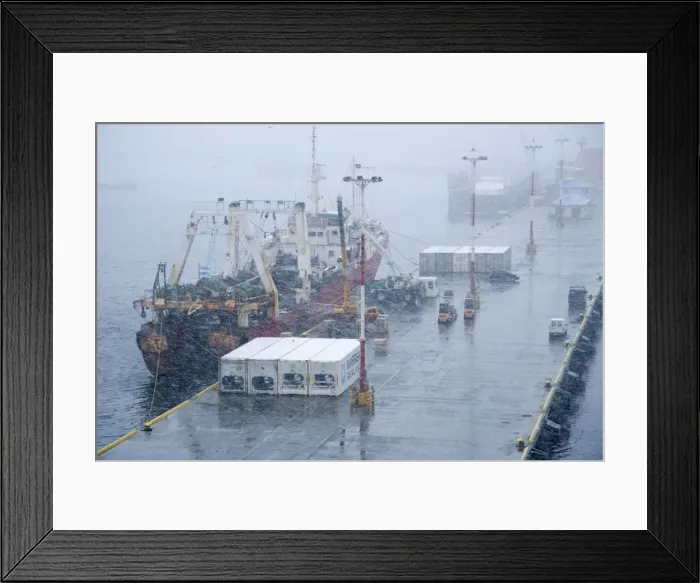 Framed Print : Ushuaia dock unloading fish in snow storm, Tierra del Fuego, October Framed Print : Ushuaia dock unloading fish in snow storm, Tierra del Fuego, October