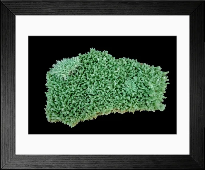 Framed Print : Selenite (CaSO4-2H2O) (Hydrous calcium sulfate) - Form of Gypsum - Australia - Formed in evaporite deposits - Green color caused by leaching from mine waste Framed Print : Selenite (CaSO4-2H2O) (Hydrous calcium sulfate) - Form of Gypsum - Australia - Formed in evaporite deposits - Green color caused by leaching from mine waste