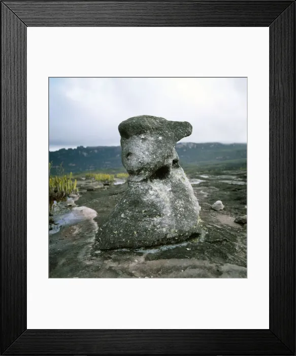 Framed Print : Oso rock (the bear), Auyantepui summit (Devil's Mountain), Canaima National Park, Estado Bolivar, Venezuela, South America Framed Print : Oso rock (the bear), Auyantepui summit (Devil's Mountain), Canaima National Park, Estado Bolivar, Venezuela, South America