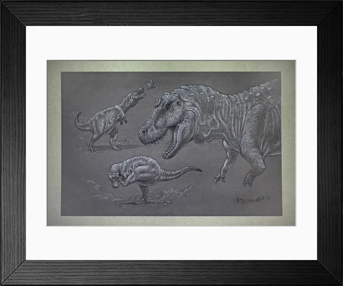Framed Print : Tyrannosaurus Rex - sketches Framed Print : Tyrannosaurus Rex - sketches