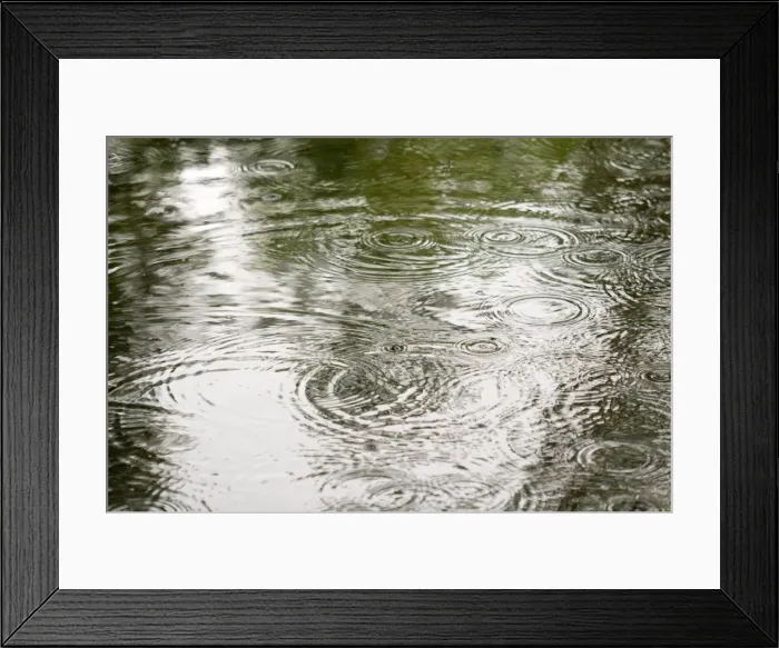 Framed Print : Raining - rain drops on pond summer 2007. Norfolk UK Framed Print : Raining - rain drops on pond summer 2007. Norfolk UK