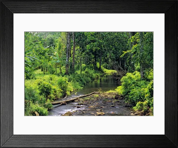 Framed Print : Pohnpei Island Micronesia JLR04150 Framed Print : Pohnpei Island Micronesia JLR04150