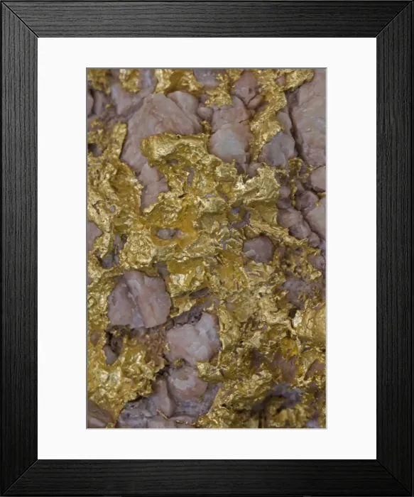 Framed Print : Alluvial gold specimen with rosy quartz - Western Australia Framed Print : Alluvial gold specimen with rosy quartz - Western Australia
