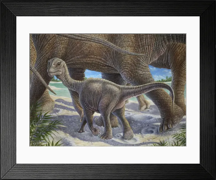Framed Print : Camarasaurus Lentus - herd with calf