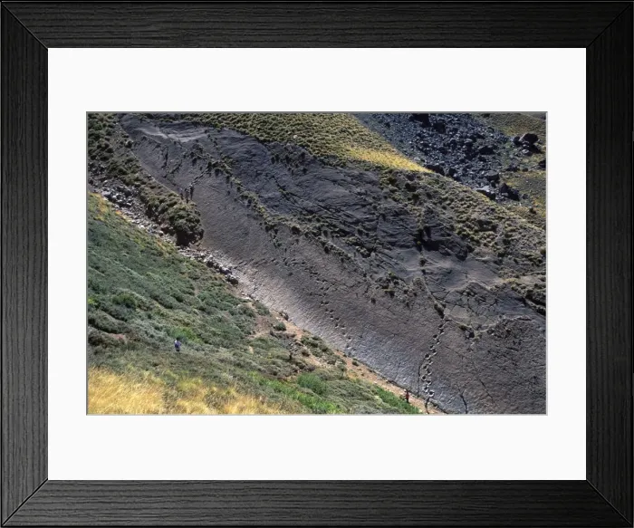 Framed Print : Dinosaur trackways - Chile Overview of the dinosaur trackways at Termas del Flaco, a site high in the Andes south-east of Santiago de Chile. Trackways of large sauropod dinosaurs (large plant eater animals) Framed Print : Dinosaur trackways - Chile Overview of the dinosaur trackways at Termas del Flaco, a site high in the Andes south-east of Santiago de Chile. Trackways of large sauropod dinosaurs (large plant eater animals)