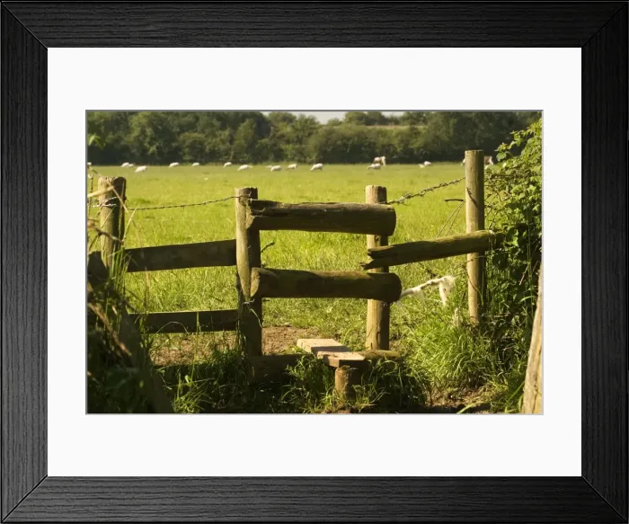Framed Print : Style - on footpath in countryside Oxfordshire, England Framed Print : Style - on footpath in countryside Oxfordshire, England