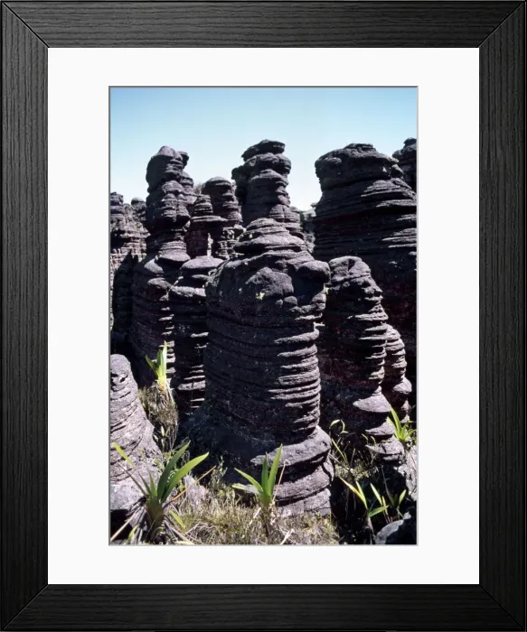 Framed Print : Venezuela - summit of Mount Roraima AW02990 Framed Print : Venezuela - summit of Mount Roraima AW02990