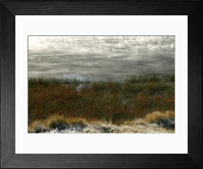Framed Print : Lake Catani JLR 24 Mont Buffalo National Park North East Victoria, Australia © Jean-Marc La-Roque / ardea. com Framed Print : Lake Catani JLR 24 Mont Buffalo National Park North East Victoria, Australia © Jean-Marc La-Roque / ardea. com