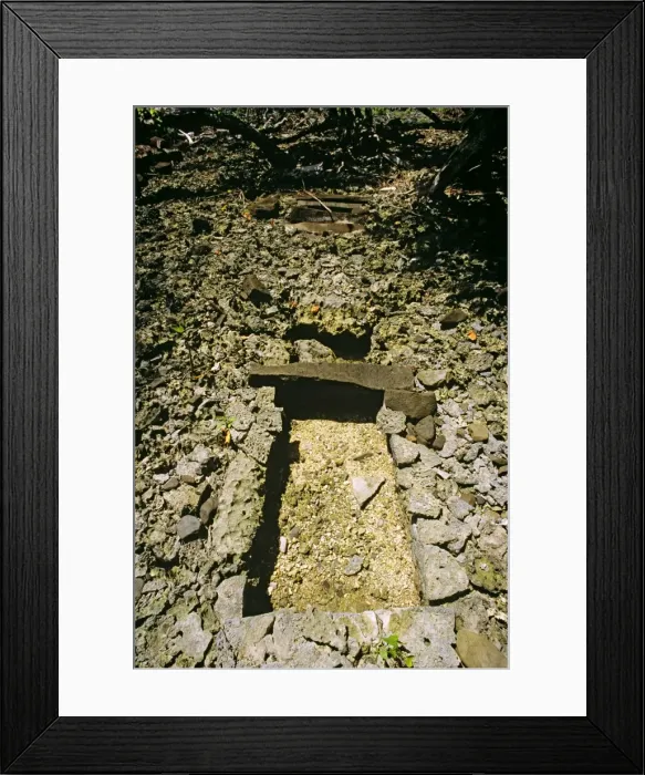 Framed Print : Dorong, tunnel channel Nan Madol fortress complex (c. 1200 AD) Pohnpei, Micronesia JLR04190 Framed Print : Dorong, tunnel channel Nan Madol fortress complex (c. 1200 AD) Pohnpei, Micronesia JLR04190