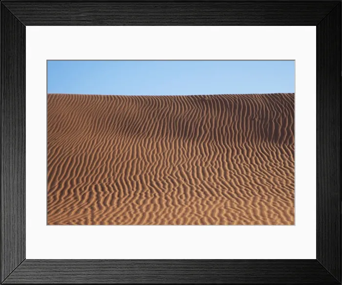 Framed Print : Simpson Desert Evening light dune scene. Photographed near Mac Clark (Acacia peuce) Reserve, southern Northern Territory, Australia Framed Print : Simpson Desert Evening light dune scene. Photographed near Mac Clark (Acacia peuce) Reserve, southern Northern Territory, Australia