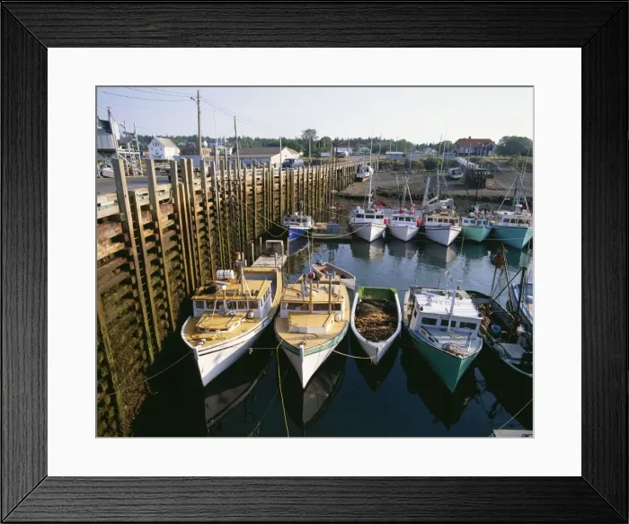Framed Print : Harbour Tide FG 6474 Sequence 1 of 2. Low Tide, Morning. Max. Amplitude 27 feet. Highest tides in the World: Bay of Fundy, Grand Manan Island, Canada. © Francois Gohier / ardea. com Framed Print : Harbour Tide FG 6474 Sequence 1 of 2. Low Tide, Morning. Max. Amplitude 27 feet. Highest tides in the World: Bay of Fundy, Grand Manan Island, Canada. © Francois Gohier / ardea. com