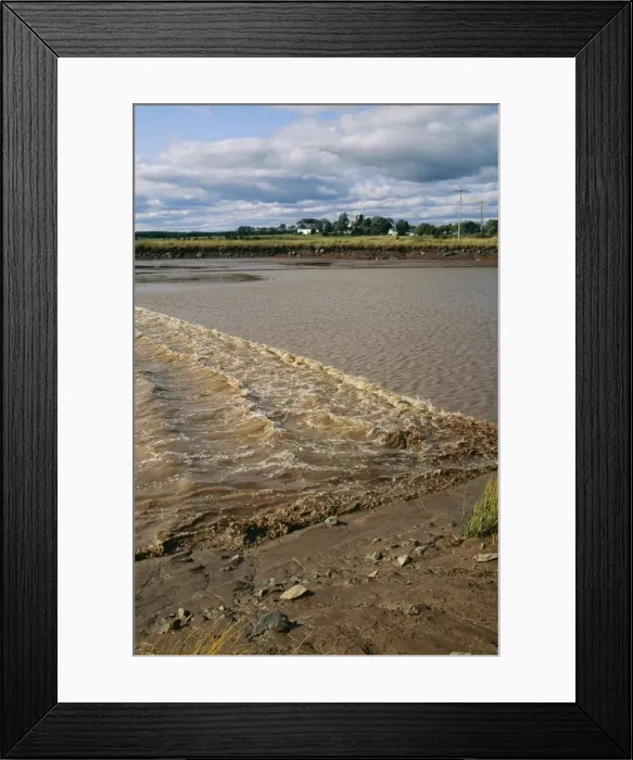 Framed Print : RIver Bore FG 6930 Tidal bore in a river. Upper Bay of Funday near Truro, Nova Scotia, Canada © Francois Gohier / ardea. com Framed Print : RIver Bore FG 6930 Tidal bore in a river. Upper Bay of Funday near Truro, Nova Scotia, Canada © Francois Gohier / ardea. com