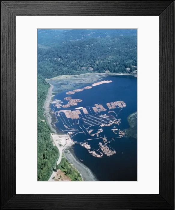 Framed Print : Forestry - Log sorting. Vancouver Island, British Columbia, Canada Framed Print : Forestry - Log sorting. Vancouver Island, British Columbia, Canada