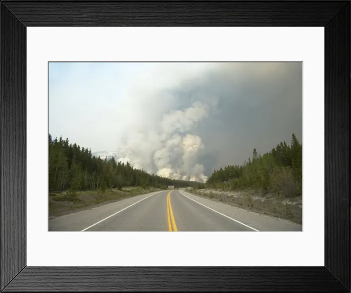 Framed Print : Forest Fire - controlled burn June 2009 Saskatchewan Valley Banff National Park Alberta, Canada LA003946 Framed Print : Forest Fire - controlled burn June 2009 Saskatchewan Valley Banff National Park Alberta, Canada LA003946