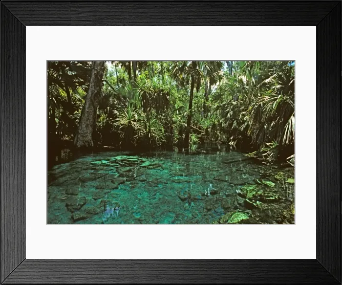 Framed Print : Mataranka Hot Springs Elsey National Park, Northern Territory, Australia JLR00383 Framed Print : Mataranka Hot Springs Elsey National Park, Northern Territory, Australia JLR00383