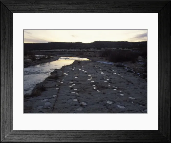 Framed Print : Dinosaur tracks Five parallel trackways of Apatosaurus (Brontosaurs). Morrison Formation, Upper Jurassic. Picketwire (Purgatoire) Canyonlands, Comanche National Forest, Eastern Colorado. Purgatoire River on left of photo Framed Print : Dinosaur tracks Five parallel trackways of Apatosaurus (Brontosaurs). Morrison Formation, Upper Jurassic. Picketwire (Purgatoire) Canyonlands, Comanche National Forest, Eastern Colorado. Purgatoire River on left of photo