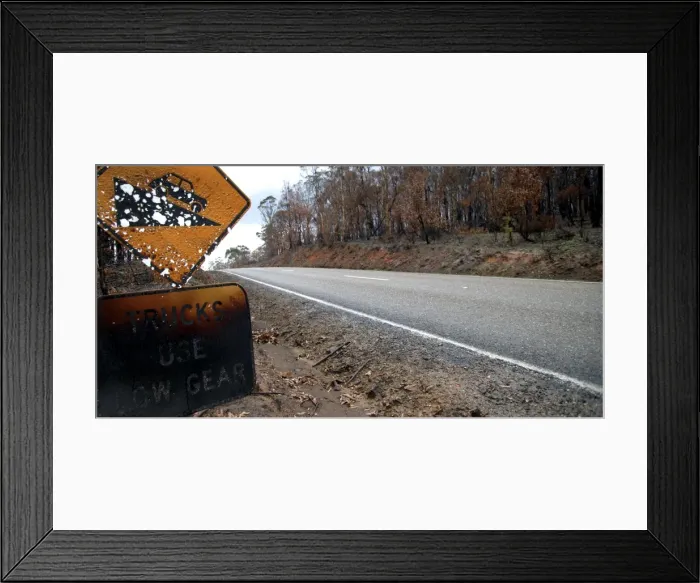 Framed Print : Great Alpine Road near Omeo JLR 22 Bush fire aftermath North East Victoria, Australia © Jean-Marc La-Roque / ardea. com Framed Print : Great Alpine Road near Omeo JLR 22 Bush fire aftermath North East Victoria, Australia © Jean-Marc La-Roque / ardea. com