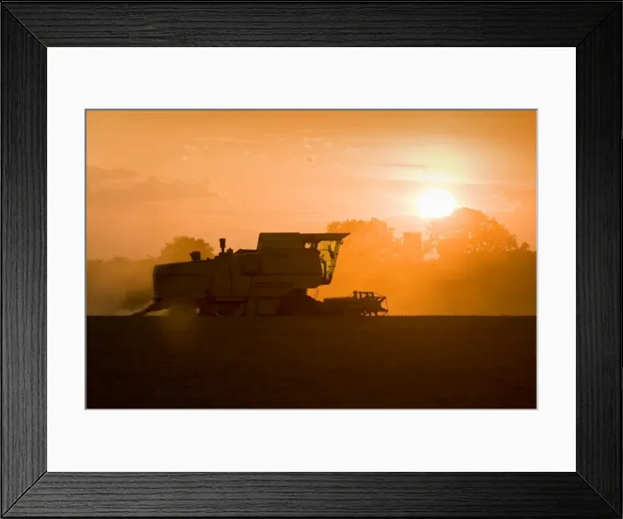 Framed Print : Farming - Combine Harvester - Wheat harvest at sunset - Norfolk - UK Framed Print : Farming - Combine Harvester - Wheat harvest at sunset - Norfolk - UK