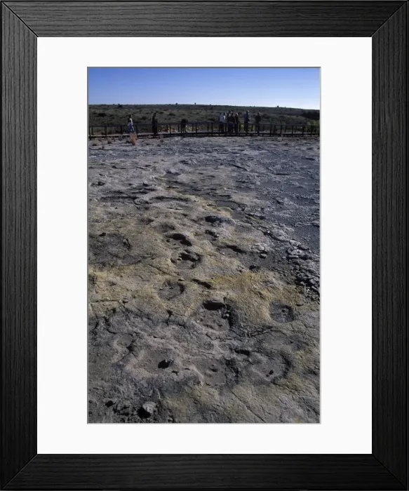 Framed Print : Dinosaur tracks: Clayton Lake State Park, New Mexico, USA Footprints and trackways of Ornithopod and Theropod dinosaurs have been discovered on a layer of rock near the Clayton Lake Reservoir in New Mexico Framed Print : Dinosaur tracks: Clayton Lake State Park, New Mexico, USA Footprints and trackways of Ornithopod and Theropod dinosaurs have been discovered on a layer of rock near the Clayton Lake Reservoir in New Mexico