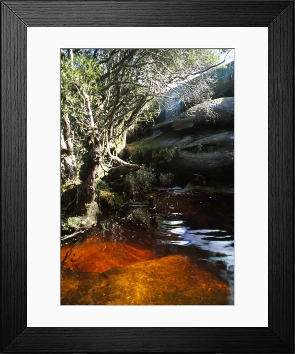 Framed Print : Auyantepui (Auyantepuy, Devil's Mountain) summit, blackwater river (golden river), Canaima National Park, Venezuela, South America Framed Print : Auyantepui (Auyantepuy, Devil's Mountain) summit, blackwater river (golden river), Canaima National Park, Venezuela, South America