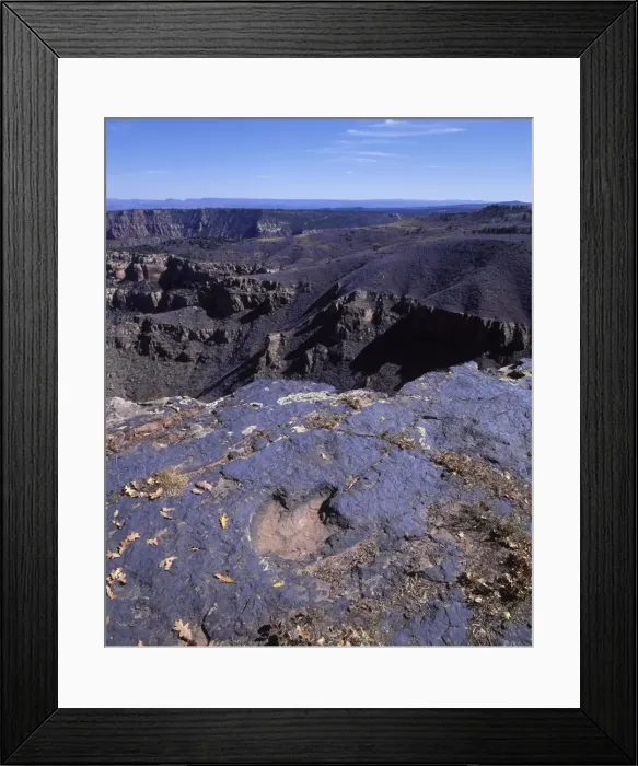 Framed Print : Dinosaurs - Tracks - Footprint of a Theropod Dinosaur. Lower Jurassic. La Sal Mountains, Utah, USA. (Theropods were carnivorous dinosaurs - such as Allosaurus; they left three-toed footprints) Framed Print : Dinosaurs - Tracks - Footprint of a Theropod Dinosaur. Lower Jurassic. La Sal Mountains, Utah, USA. (Theropods were carnivorous dinosaurs - such as Allosaurus; they left three-toed footprints)