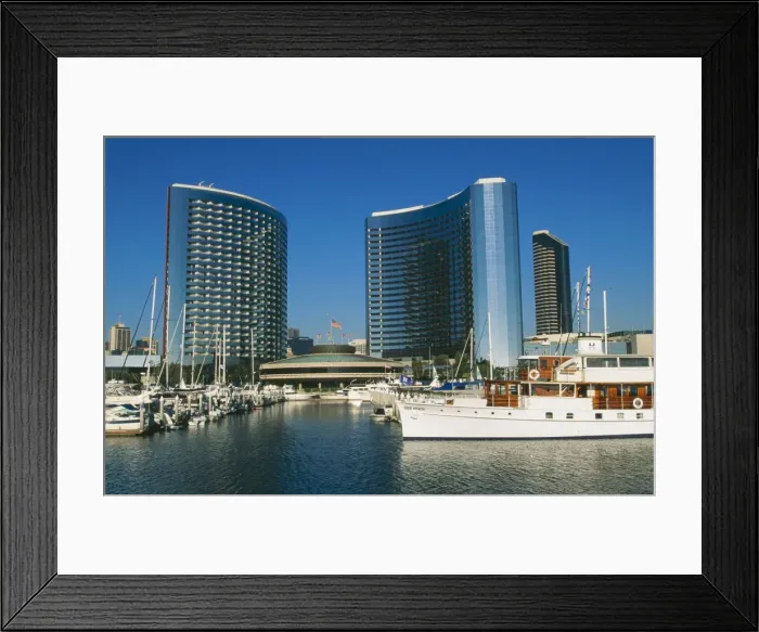 Framed Print : USA FG 11430 Marriot Hotel towers & Marina, San Diego, California. © Francois Gohier / ARDEA LONDON Framed Print : USA FG 11430 Marriot Hotel towers & Marina, San Diego, California. © Francois Gohier / ARDEA LONDON