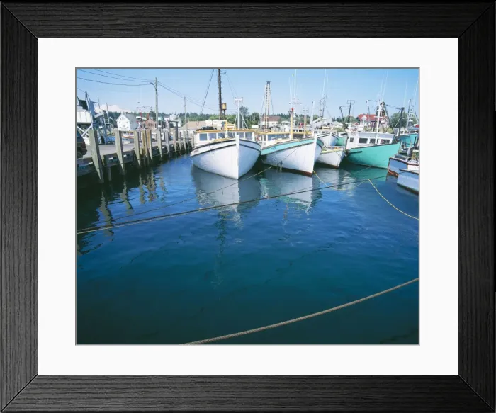 Framed Print : Harbour Tide FG 6473 Sequence 2 of 2. High Tide, 6hr 10 min later. Max. Amplitude 27 feet. Highest tides in the World: Bay of Fundy, Grand Manan Island, Canada. © Francois Gohier / ardea. com Framed Print : Harbour Tide FG 6473 Sequence 2 of 2. High Tide, 6hr 10 min later. Max. Amplitude 27 feet. Highest tides in the World: Bay of Fundy, Grand Manan Island, Canada. © Francois Gohier / ardea. com