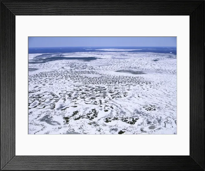 Framed Print : Semi-tundra aerial, North Siberia Helicopter view over frozen lakes and marches in semi-tundra near river Taz; winter; North Tumen region, Russia Tz30. 0258 Framed Print : Semi-tundra aerial, North Siberia Helicopter view over frozen lakes and marches in semi-tundra near river Taz; winter; North Tumen region, Russia Tz30. 0258