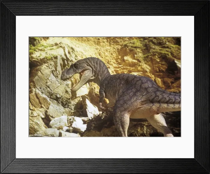 Framed Print : Dinosaur - Albertosaurus - hunting. Reconstruction. Late Cretaceous Framed Print : Dinosaur - Albertosaurus - hunting. Reconstruction. Late Cretaceous