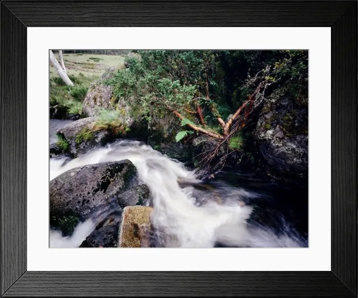 Framed Print : Davies Plain (Indi Wilderness) detail of Davies Plain Creek, Alpine National Park, Victoria, Australia JLR04507 Framed Print : Davies Plain (Indi Wilderness) detail of Davies Plain Creek, Alpine National Park, Victoria, Australia JLR04507