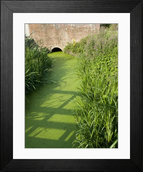 Framed Print : Low water in reservoir feeder stream - Duckweed - UK Summer 2011 Framed Print : Low water in reservoir feeder stream - Duckweed - UK Summer 2011