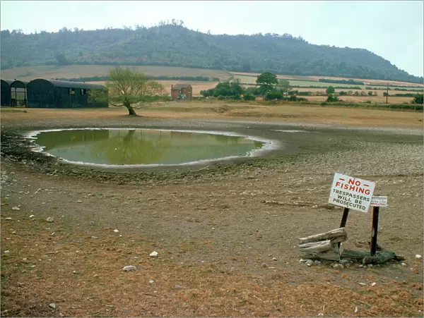 Drought - drying pond in 1976 summer drought. Shropshire, UK