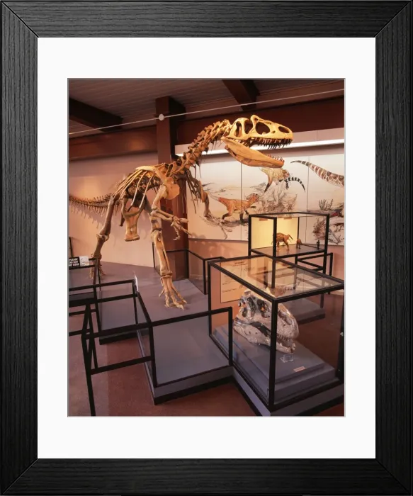 Framed Print : Theropod Dinosaur Jurassic. Dinosaur National Monument, Utah, USA