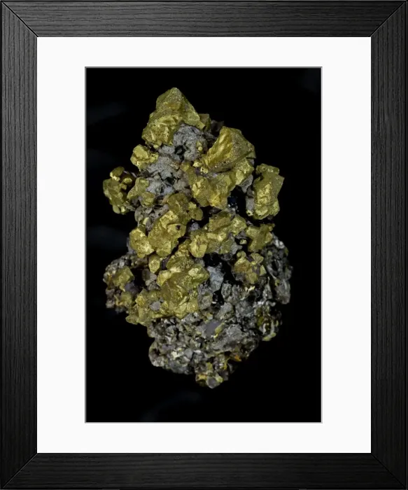 Framed Print : Chalcopyrite (CuFeS2) (Golden) - Commodore Mine - Colorado - USA - The major ore of copper - Copper Iron sulfide - Very important economic ore Framed Print : Chalcopyrite (CuFeS2) (Golden) - Commodore Mine - Colorado - USA - The major ore of copper - Copper Iron sulfide - Very important economic ore
