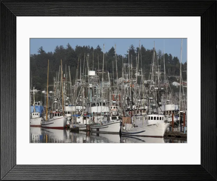 Framed Print : Boats in Harbor - New Port Oregon - USA Framed Print : Boats in Harbor - New Port Oregon - USA