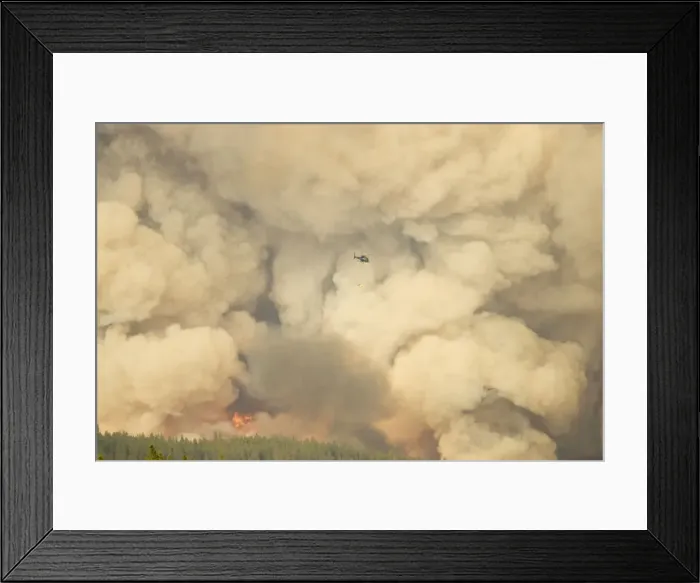 Framed Print : Forest Fire - controlled burn June 2009 with fire setting helicopter Saskatchewan Valley Banff National Park Alberta, Canada LA003983 Framed Print : Forest Fire - controlled burn June 2009 with fire setting helicopter Saskatchewan Valley Banff National Park Alberta, Canada LA003983
