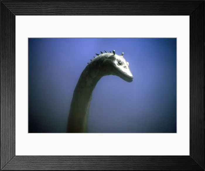 Framed Print : Prehistoric Reconstruction - Swimming Plesiosaur C. Oxoniensis Late Jurassic