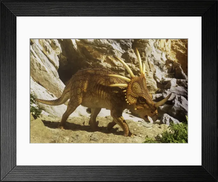 Framed Print : Styracosaurus near cave. Late Cretaceous Framed Print : Styracosaurus near cave. Late Cretaceous