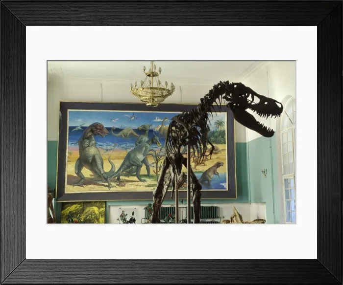 Framed Print : Dinosaurs - Theropods: Tarbosaurus Tarbosaurus is a carnivorous dinosaur of Central Asia in the Tyrannosaur family; sometimes considered synonymous with Tyrannosaurus bataar. From the Late Cretaceous of the Gobi Desert, Mongolia Framed Print : Dinosaurs - Theropods: Tarbosaurus Tarbosaurus is a carnivorous dinosaur of Central Asia in the Tyrannosaur family; sometimes considered synonymous with Tyrannosaurus bataar. From the Late Cretaceous of the Gobi Desert, Mongolia