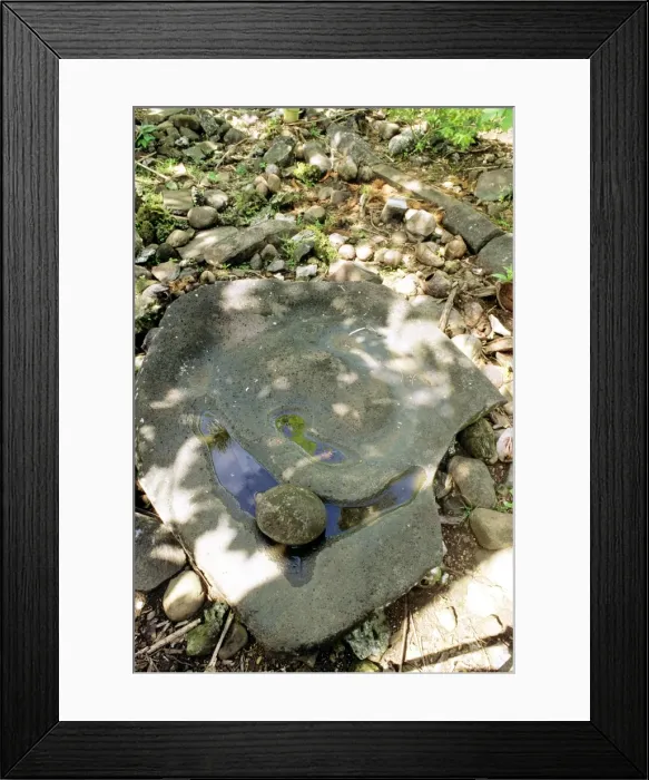 Framed Print : Sakau stone around which stories were told Nan Madol fortress complex (c. 1200 AD) Pohnpei, Micronesia JLR04182 Framed Print : Sakau stone around which stories were told Nan Madol fortress complex (c. 1200 AD) Pohnpei, Micronesia JLR04182