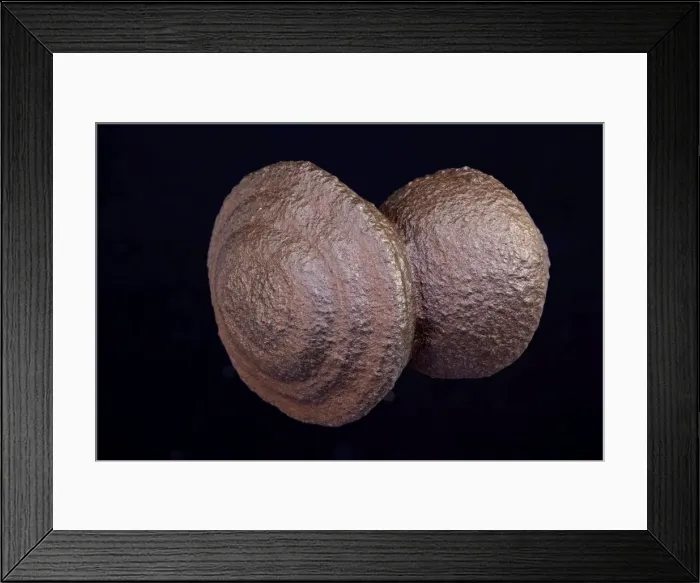 Framed Print : Moqui marbles - Hematite concretions from the Navajo sandstone of southeast Utah Framed Print : Moqui marbles - Hematite concretions from the Navajo sandstone of southeast Utah