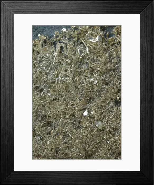 Framed Print : Crystalline Gold in volcanic - Andesite Olinghouse Mine - Washoe County - Nevada-USA