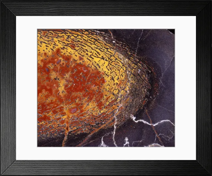 Framed Print : Dinosaurs - Agatized bone Close-up of a polished section of a Sauropod dinosaur bone from the Morrison Formation (Upper Jurassic) of Colorado