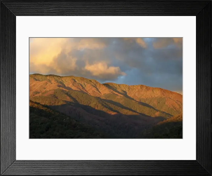 Framed Print : Mount Bogong JLR 51 Bogong high plains, North East Victoria, Australia © Jean-Marc La-Roque / ardea. com Framed Print : Mount Bogong JLR 51 Bogong high plains, North East Victoria, Australia © Jean-Marc La-Roque / ardea. com