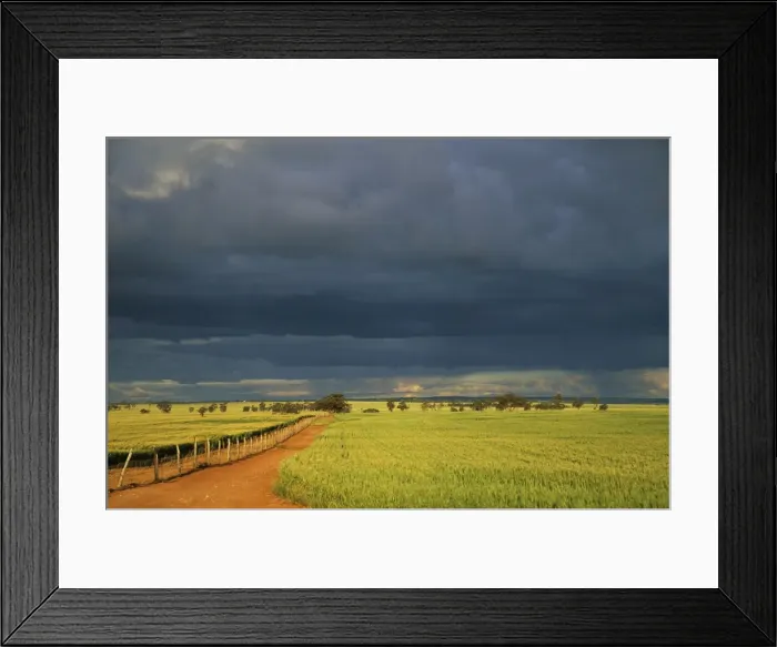 Framed Print : Wheatfields and Approaching Storm - Dalwallinu - Western Australia LA001794 Framed Print : Wheatfields and Approaching Storm - Dalwallinu - Western Australia LA001794