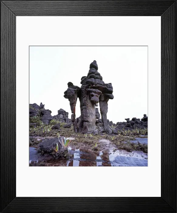 Framed Print : Summit of Mount Kukenaam (Kukenan, Kukenan, Cuguenan), rockshape, Estado Bolivar, Venezuela, South America Framed Print : Summit of Mount Kukenaam (Kukenan, Kukenan, Cuguenan), rockshape, Estado Bolivar, Venezuela, South America