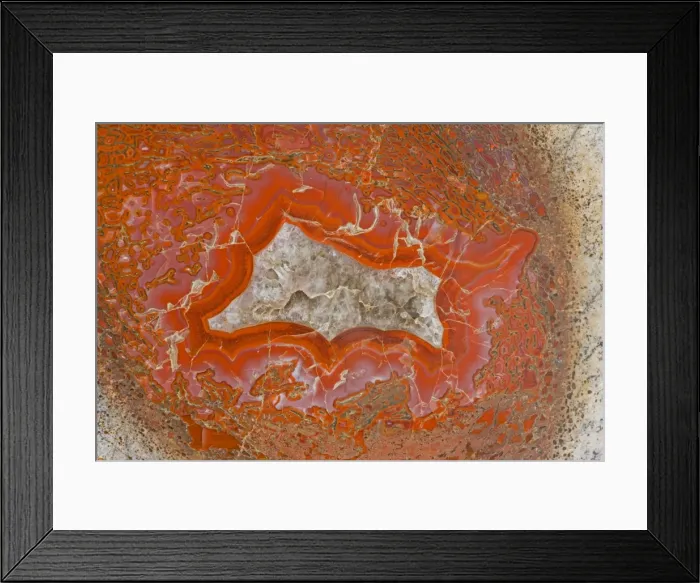 Framed Print : Agatized Dinosaur Bone - Allosaur - Cross section shows bone marrow of femur - Amethyst crystal centers - Late Jurassic - Utah Framed Print : Agatized Dinosaur Bone - Allosaur - Cross section shows bone marrow of femur - Amethyst crystal centers - Late Jurassic - Utah